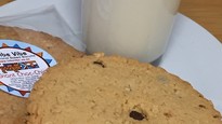Giant Choc-chip Cookie with logo